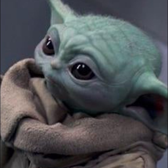 Meet your Posher, Lindsey - Picture 1 of 1